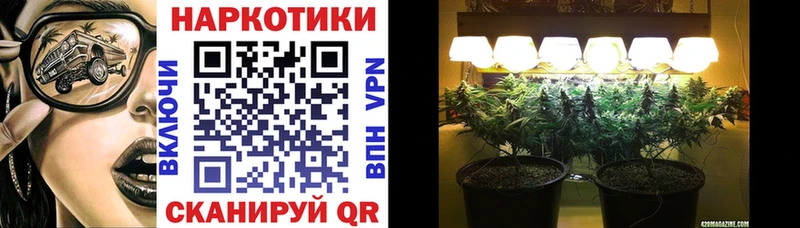 Виды наркотиков купить Калачинск Конопля  APVP  Меф  Cocaine 