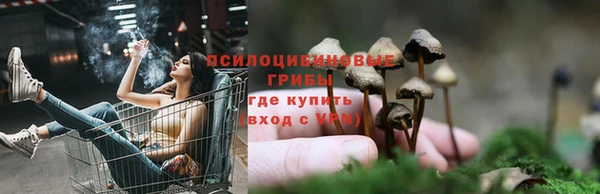 не бодяженный Волосово