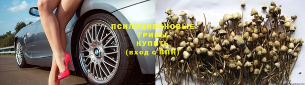 не бодяженный Волосово